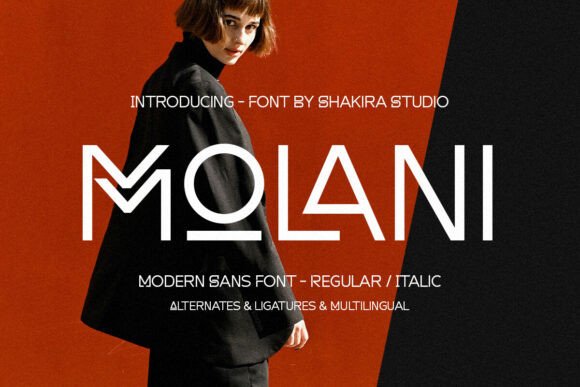 Boost Your Campaigns with Molani: A Modern Sans Serif Typeface