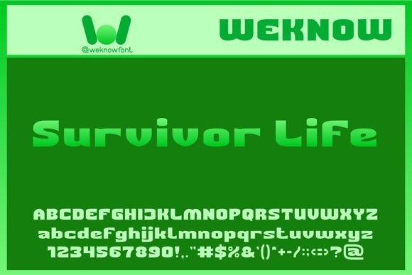 Survivor Life: A Bold Sans Serif Font for Web Design